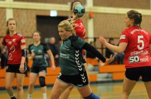 VfL Handball Mennigh¸ffen - SpVg. Hesselteich (Frauenhandball-Bezirksliga) - 03.02.2019