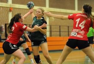 VfL Handball Mennigh¸ffen - SpVg. Hesselteich (Frauenhandball-Bezirksliga) - 03.02.2019